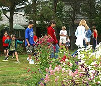 Cake Walk in gardens at Butterfield Cottage