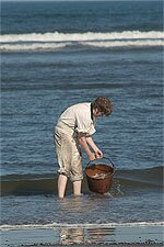 Water is carefully skimmed from the Pacific Ocean, to contain as little sand as possible