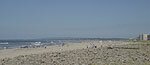 Beach view looking North